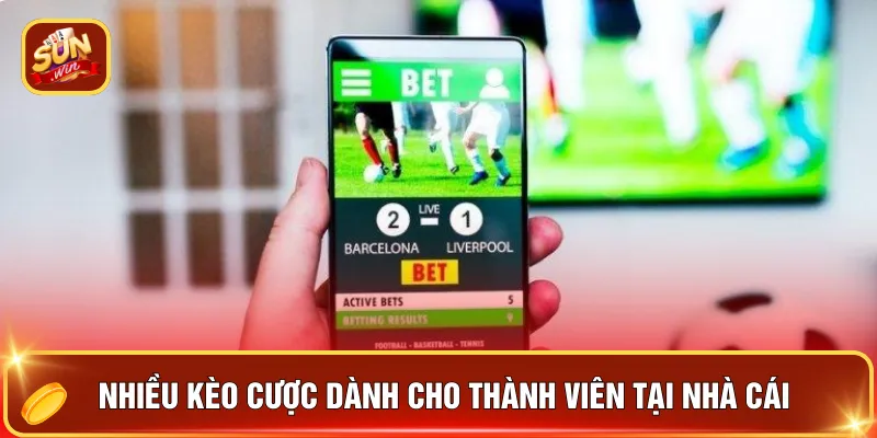 Sbobet Sunwin - Sảnh Cược Số 1 Cho Tín Đồ Đam Mê Cược 4 Nhiều kèo cược dành cho thành viên tại nhà cái